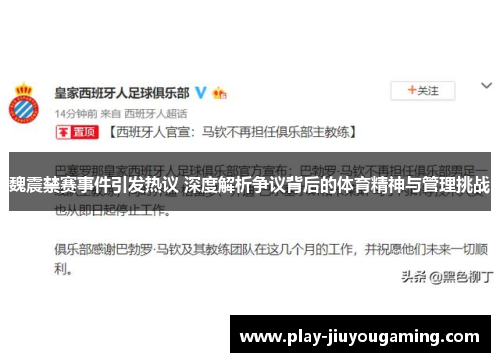 魏震禁赛事件引发热议 深度解析争议背后的体育精神与管理挑战