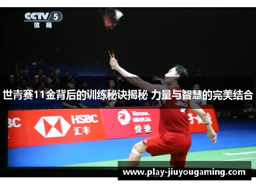世青赛11金背后的训练秘诀揭秘 力量与智慧的完美结合