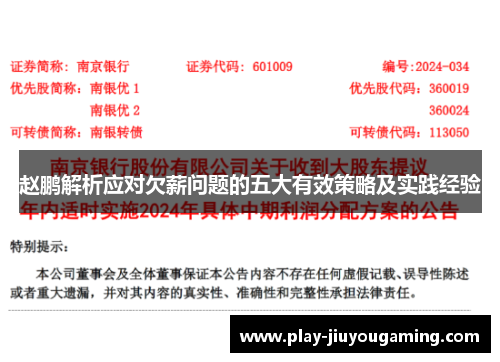赵鹏解析应对欠薪问题的五大有效策略及实践经验